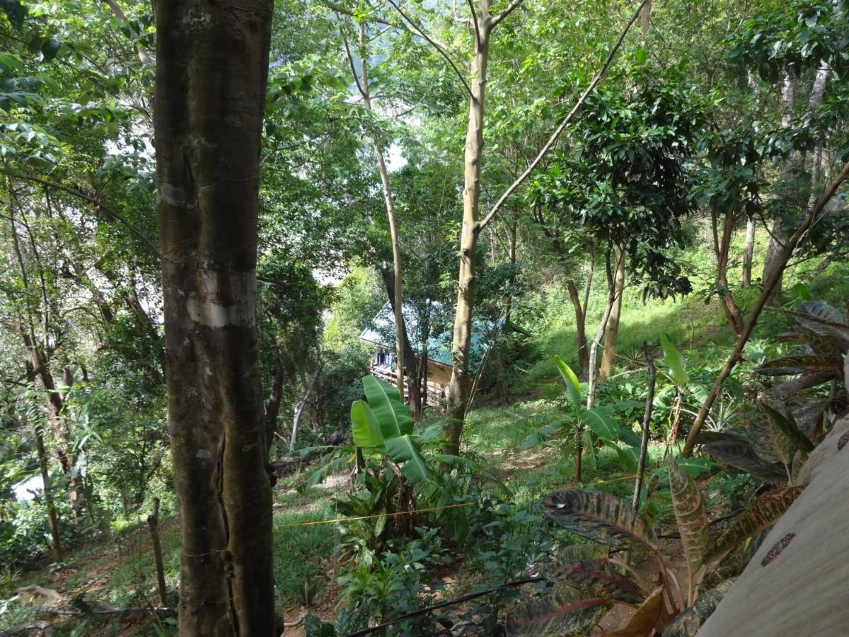 Camp Talusi Hilltop Overlooking El Nido Zewnętrze zdjęcie